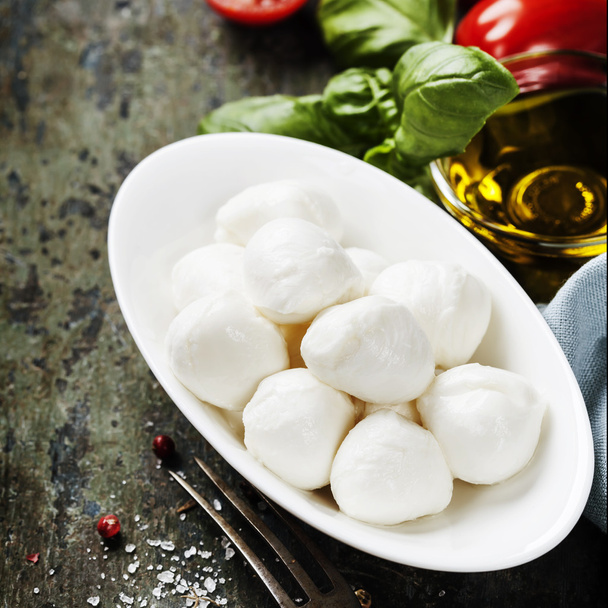 Mozzarella with tomatos and basil leaves  - Foto, imagen