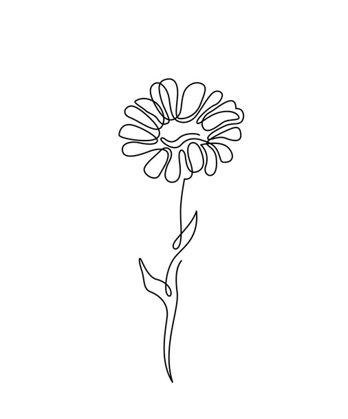 Ilustracja kwiat rumianku w prostym minimalnym ciągłym stylu zarysu. Natura kwiat stokrotka sztuka dla kwiatowego botanicznego projektowania. Izolacja na białym tle - Wektor, obraz