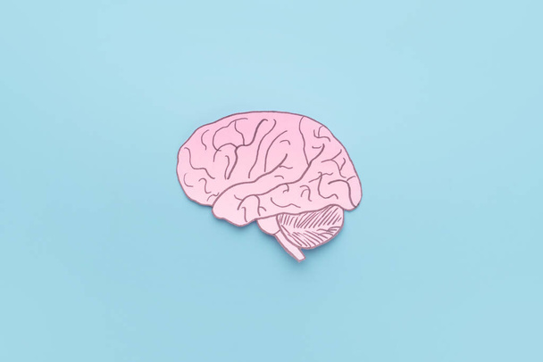 Symbol mozku prezentovaný lidskou mozkovou anatomií tvoří papír na světle modrém pozadí. Tvůrčí nápad pro myšlení, poruchy mozku, neurologii, psychologii nebo koncepci duševního zdraví. Minimální styl. - Fotografie, Obrázek
