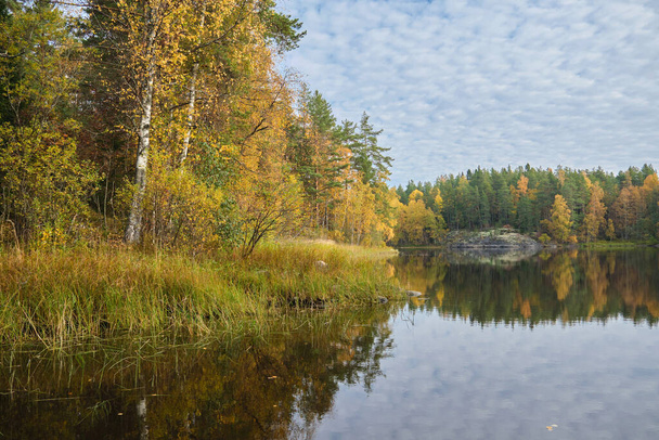 Ladoga skerries, Karelia 'nın doğal cazibesi. Rusya 'da seyahat. Kuzey doğası. - Fotoğraf, Görsel