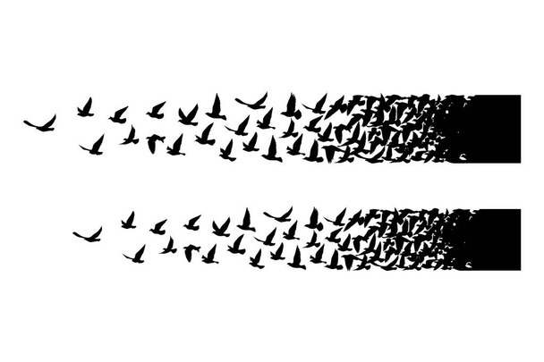 Siluetas de aves voladoras sobre fondo blanco. Ilustración vectorial. aves aisladas volando. diseño del tatuaje. - Vector, Imagen