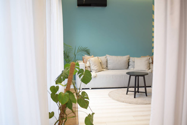 Velký světlý obývací pokoj s pohovkou s jasně modrou stěnou. Pěkný interiér, byt - Fotografie, Obrázek
