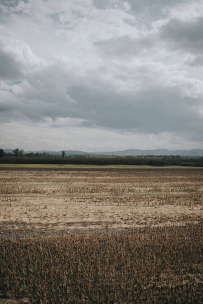 A vertical shot of a beautiful landscape with a farmland under a cloudy sky - Foto, afbeelding