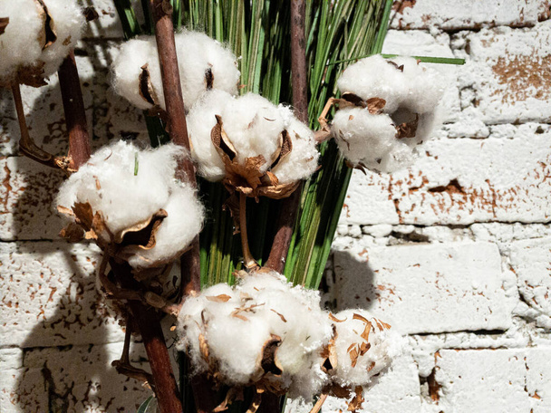 Fiore di cotone biologico naturale su uno sfondo di mattoni. Bouquet con rami ed erbe aromatiche. Bianco, marrone e verde - Foto, immagini