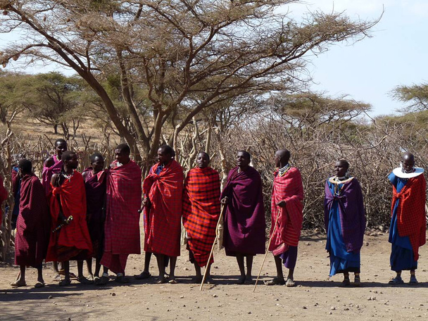 Masai mannen in traditionele kettingen, rode dekens dansen, Tanzania. Hoge kwaliteit foto - Foto, afbeelding