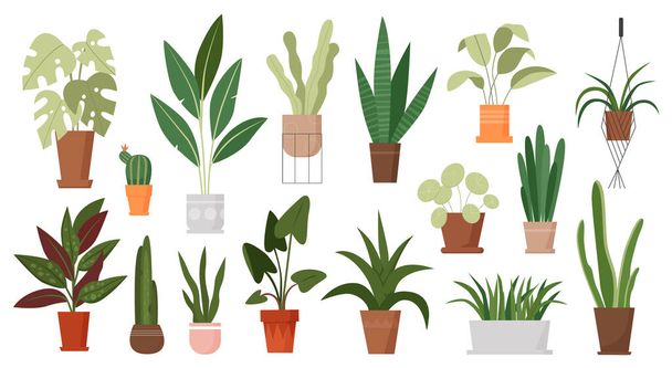 Plantas de casa crescer em vasos conjunto, plantas de sala verdes crescendo em vaso de flores, pendurado em macrame - Vetor, Imagem