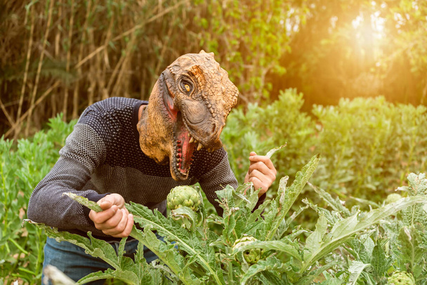Άνθρωπος με μάσκα κεφάλι δεινοσαύρου τρώει αγκινάρες στον κήπο λαχανικών το ηλιοβασίλεμα. - Φωτογραφία, εικόνα