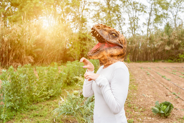 Woman with dinosaur head mask in vegetables garden at sunset.Copy space - Photo, Image