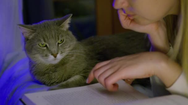 Нічна сцена затишна домашня атмосфера, молода жінка читає книгу і кидає кішку RED
 - Кадри, відео