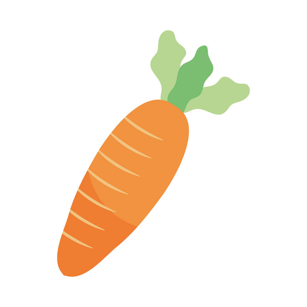 carrot vegetable icon - Vector, Image
