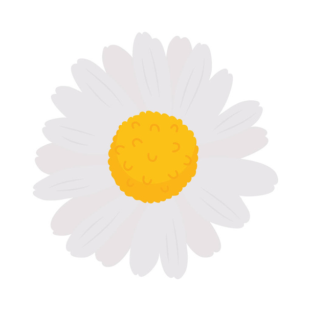 chamomile flower icon - Vector, Image