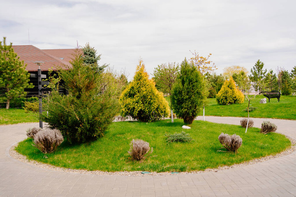 Landscaping. round the lawn. with trees and shrubs. planting. - Foto, Bild