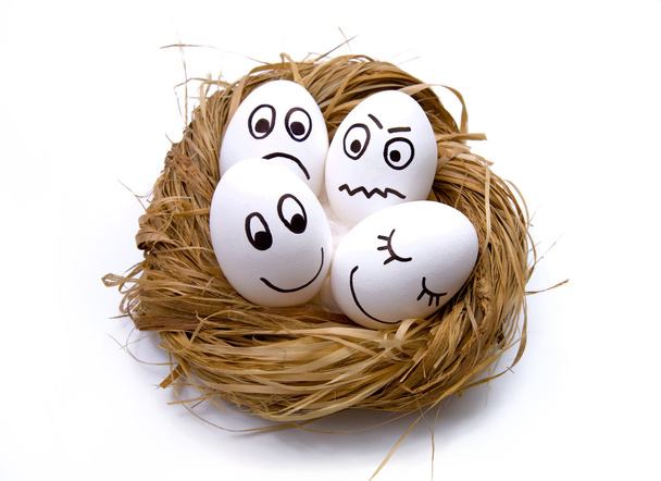 Easter funny eggs in nest - Photo, image
