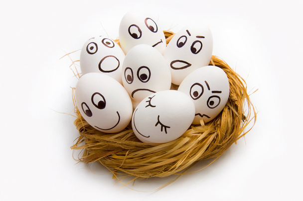 Easter funny eggs in nest  - Photo, image