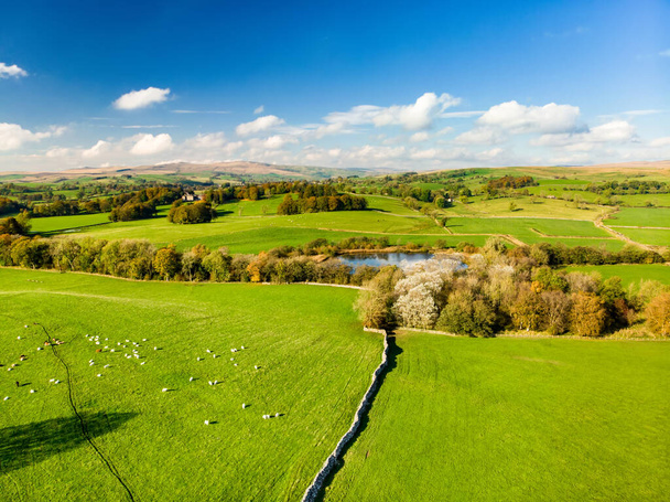 Aerial view of endless lush pastures and farmlands of England. Beautiful English countryside with emerald green fields and meadows. Rural landscape on sunset. - Foto, afbeelding