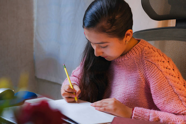 Nastoletni, biały student odrabiający lekcje w domu. Młoda dziewczyna robi notatki przed laptopem, wideo połączenie z domu, Szkoła w domu - Zdjęcie, obraz