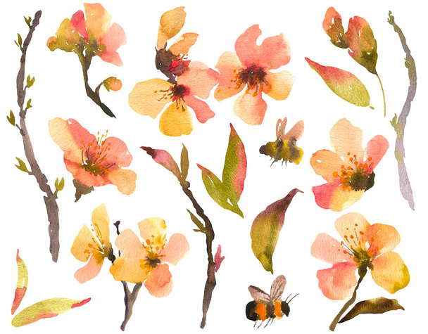 Akvarel sada jarních květin, kvetoucí větve stromů. Přírodní botanické květinové ilustrace izolované na bílém pozadí. - Fotografie, Obrázek