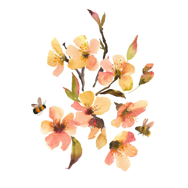 Watercolor spring flowers bouquet, blooming trees branches. Natural botanical floral illustration isolated on white background. - Photo, Image