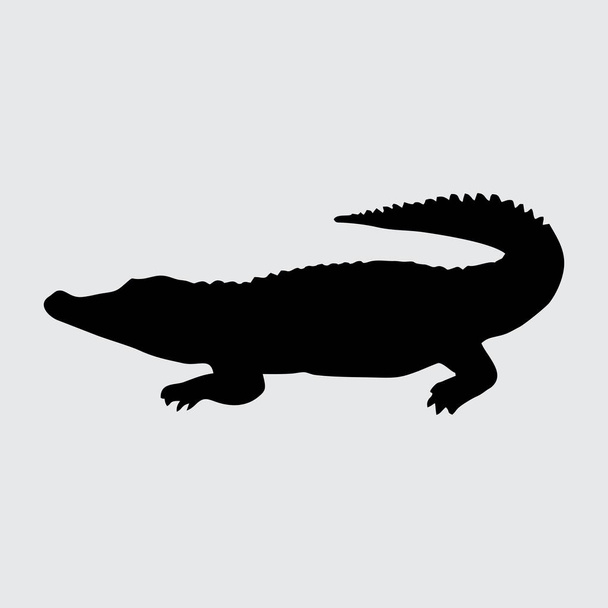 Krokodýlí silueta, Krokodýl izolované na bílém pozadí - Vektor, obrázek