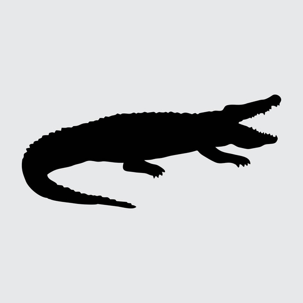 Crocodile Silhouette, Crocodile Isolated On White Background - Vector, Image
