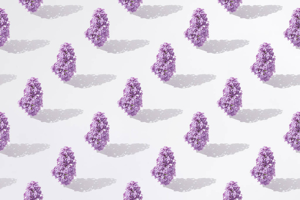 Lilas violet sur fond blanc. Modèle minimal. - Photo, image