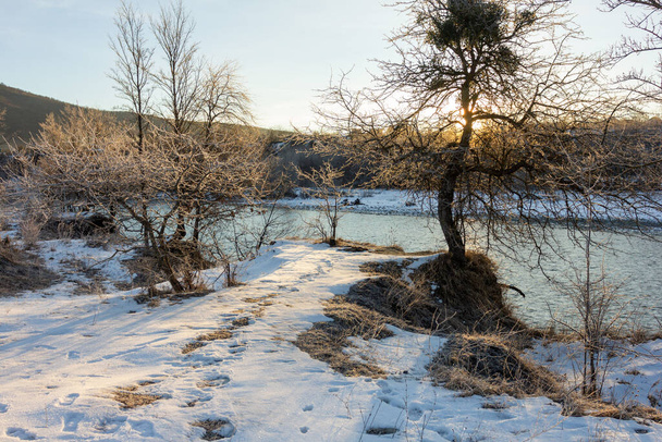 Frosty téli reggel a természetben, meleg reggeli fény a háttérben a hó, bokrok és fák mintázatú fagy. - Fotó, kép