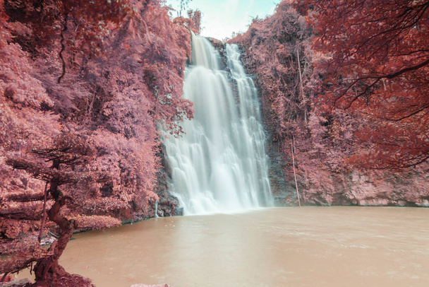 L'auteur a pris une photo dans la zone touristique de la cascade de Bobla, province de Lam Dong, le matin du 27 février 2021. Contenu : Cascade de Bobla au Vietnam - Photo, image