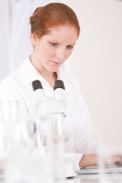Microscope laboratory - woman medical research chemist experiment, shallow depth-of-field - 写真・画像