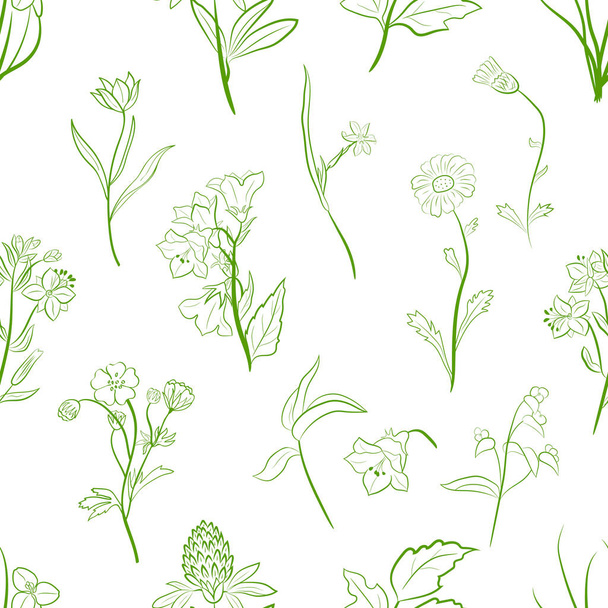 Hand drawn seamless pattern with wildflowers. Sketch of summer flowers, herbs and leaves. Collection of meadow plants.  - Vektor, Bild