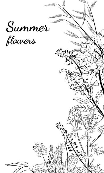Hand drawn set of wildflowers and herbs. Sketch of summer flowers, herbs and leaves. Collection of meadow plants. Botanical illustration. Decorative elements for summer and spring desing. - Vektor, kép