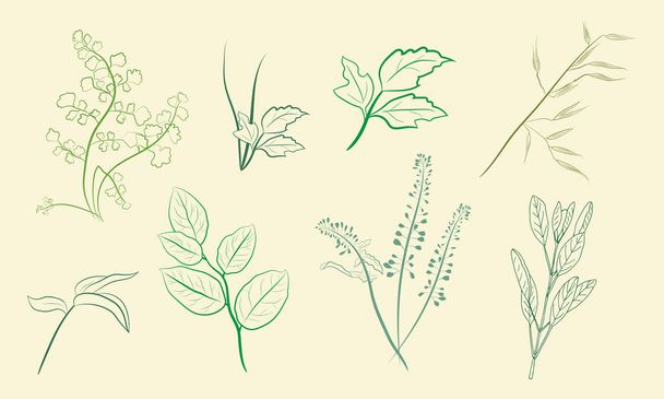 Hand drawn set of wildflowers and herbs. Sketch of summer flowers, herbs and leaves. Collection of meadow plants. Botanical illustration. Decorative elements for summer and spring desing. - Vector, imagen