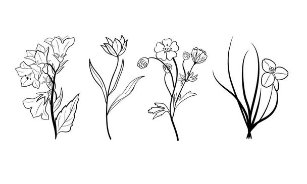 Hand drawn set of wildflowers. Sketch of summer flowers, herbs and leaves. Collection of meadow plants. Botanical illustration. Decorative elements for summer and spring desing. - Vector, Image