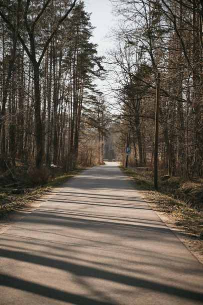 Pusta asfaltowa droga w lesie. Las w Europie wiosną. Słoneczny dzień bez ludzi - Zdjęcie, obraz
