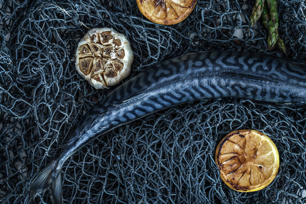 Roher Fisch Atlantische Makrele ungekocht auf Fischernetzhintergrund mit gegrilltem Knoblauch, Limette und Spargel - Foto, Bild