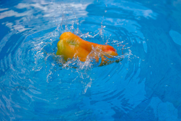 A colorful pepper being submerged into the water in a pool with ripples and splashes around it - Zdjęcie, obraz
