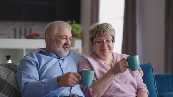 happy aged spouses are sitting on couch in living room and drinking tea, chatting cheerfully and laughing, portrait of old married couple - Footage, Video