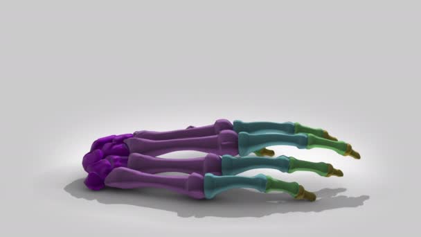 3D-Modell-Animation auf einem Hintergrund - Filmmaterial, Video