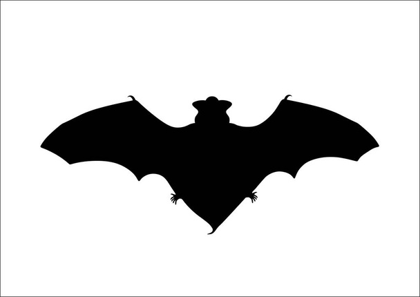 Silueta murciélago sobre fondo blanco - Vector, Imagen