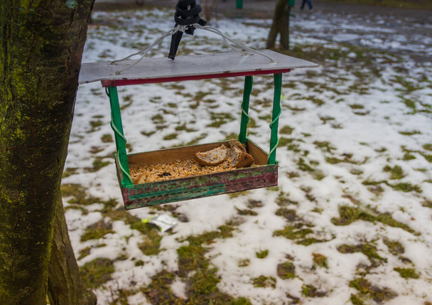 L'alimentatore per uccelli è coperto di neve vicino alla scuola. Tavolo per uccelli in legno con neve fresca - Foto, immagini