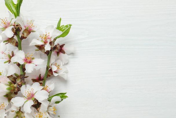 Blossoming spring tree branches as border on white wooden background, flat lay. Space for text - 写真・画像