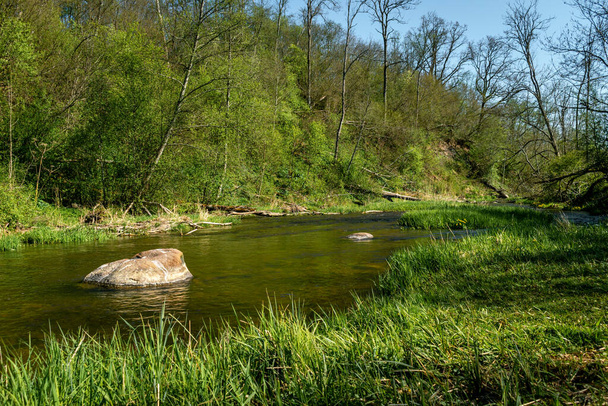 Река Имула течет через лес в солнечный весенний день. - Фото, изображение