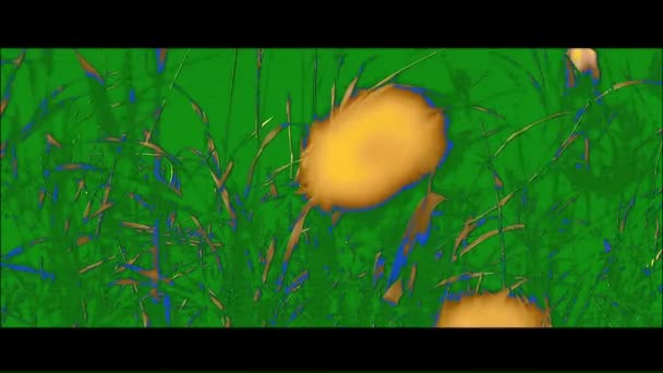 focus wordt getrokken tussen golvend gras op de achtergrond en gele bloem op de voorgrond - Video