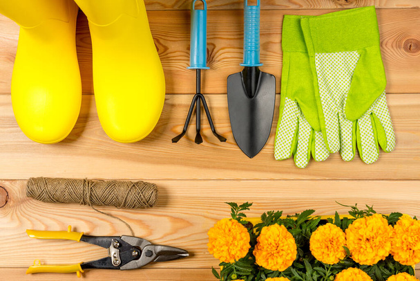 botas de goma, flores y herramientas de jardinería vista superior concepto de jardinería - Foto, imagen