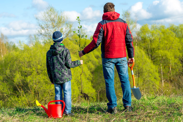 Отец и сын школьник весной посадить дерево стрелять в парке концепции семьи, помощь, уход - Фото, изображение