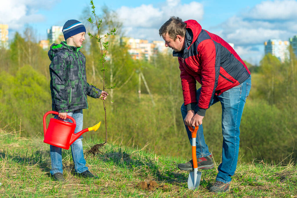 Père et fils écolier au printemps plantent une pousse d'arbre dans le parc concept famille, aide, soins - Photo, image