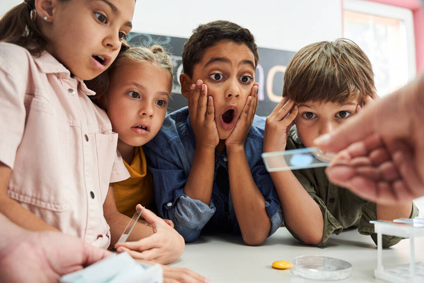 Open-eyed kids looking at the test glass that teacher holding - 写真・画像