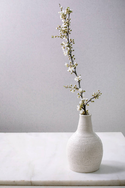 Blooming cherry branches in craft white porcelain vase on white marble table. Spring flowers interior decorations. - Fotografie, Obrázek