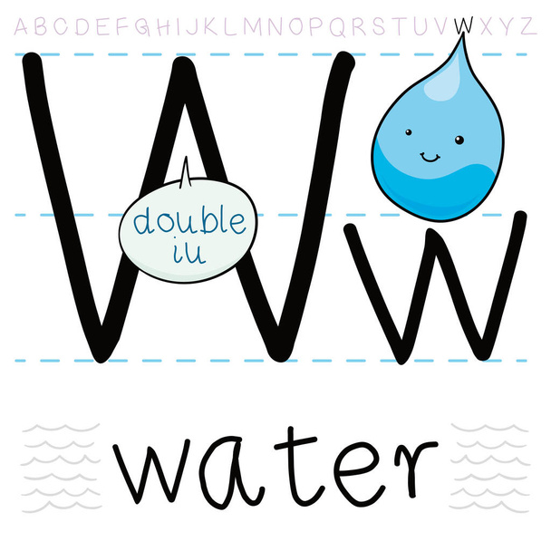 Happy water drop ready to fall in the letter 'W' teaching how to pronounce it and learning the English alphabet. - ベクター画像