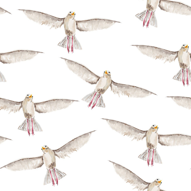  Ιπτάμενος γλάρος υδατογραφία αδιάλειπτη μοτίβο. Πρότυπο διακόσμησης σχεδίων και εικονογραφήσεων. - Φωτογραφία, εικόνα
