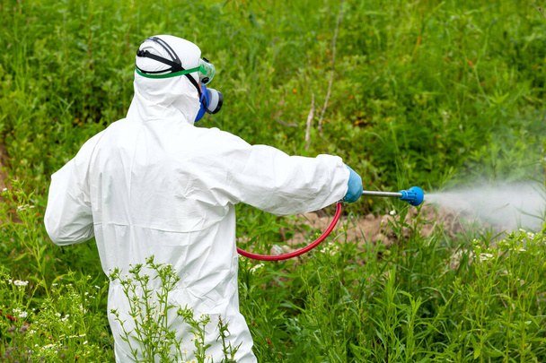 Pest control worker spraying insecticides or pesticides outdoor - Foto, afbeelding
